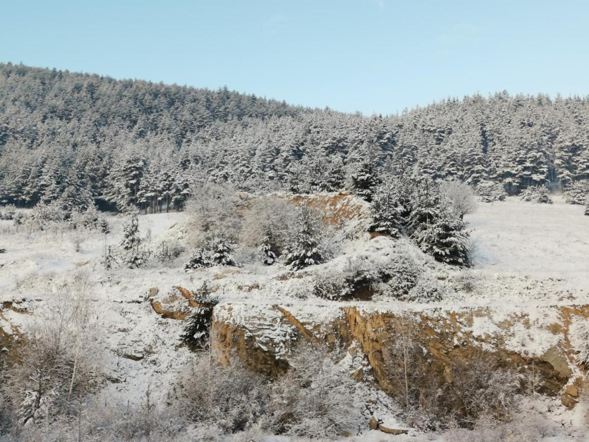 Apartmán Арт Мезонет Salem Velingrad Exteriér fotografie